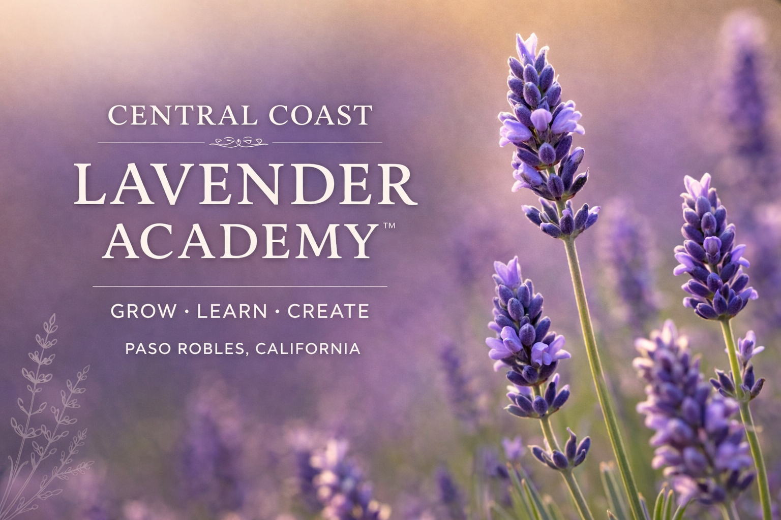 Central Coast Lavender Academy — Grow, Learn, Create — Paso Robles, California